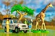 28A Safari 1 Tomytec Auto a Escala Diecast miniatura 8